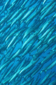   Barracuda Wall Chumphon Pinnacle 30m looking  